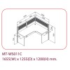 MT-WS011C
