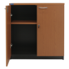 SMF/5CL810