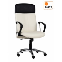 TY/CA501A TY/CA501A