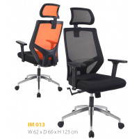 VC/im013 VC/im013